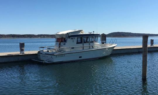 Water Taxi Service - 2 Hour Guided Water Taxi Tour in Mariehamn, Åland Islands