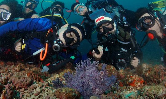 Certificação PADI Open Water (curso de 3-4 dias) de Pasig, Metro Manila, Filipinas!