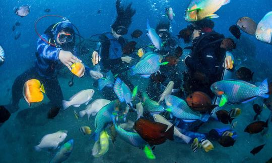 Certificação PADI Open Water (curso de 3-4 dias) de Pasig, Metro Manila, Filipinas!