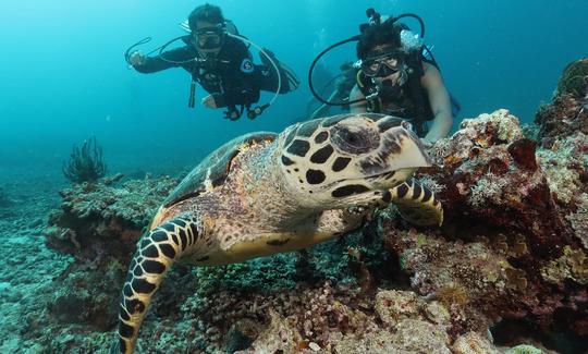 Certificação PADI Open Water (curso de 3-4 dias) de Pasig, Metro Manila, Filipinas!