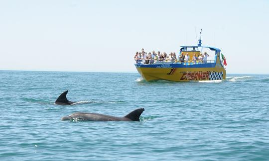 Dolphin and watching trip oman tours  muscat tours