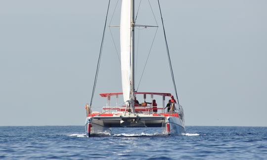 Catamaran écologique pour observer et écouter les baleines à Tenerife