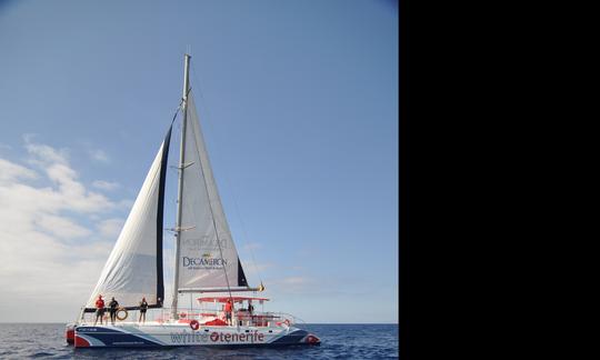 Catamaran écologique pour observer et écouter les baleines à Tenerife