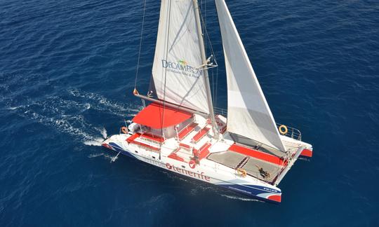 Catamaran écologique pour observer et écouter les baleines à Tenerife