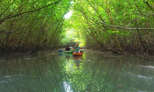 Khao Lak Mangrove Explorers by Discovery Travel