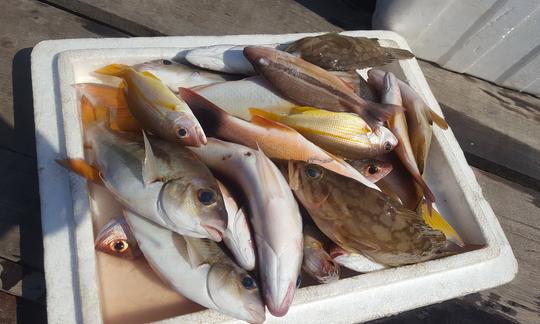 A wide range of different fish come to shelter in the nutrient rich mangrove rivers