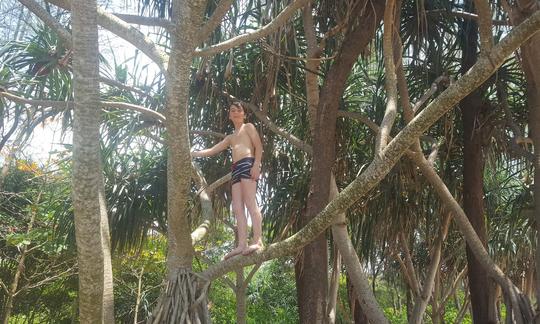 A child climbing trees on Khao Na Yak Beach