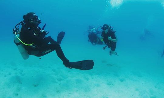 Book the Diving in  Koh Tao