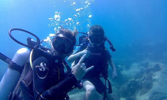 Book the Diving in  Koh Tao