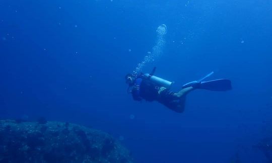 Book the Diving in  Koh Tao