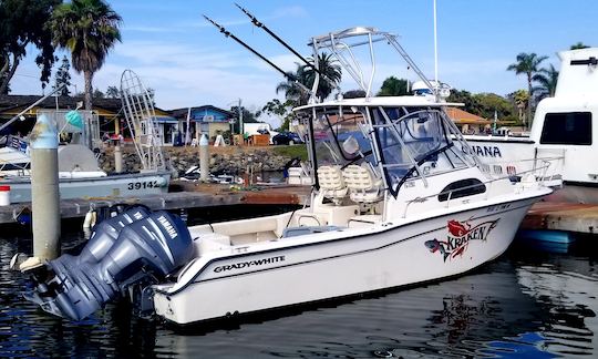 Cruise the San Diego Coastline with 29' Grady White for up to 6 people