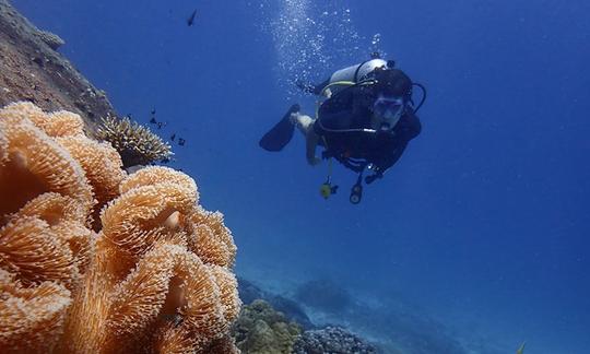 Sunrise Divers Phuket