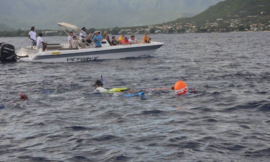 Swimming with Dolphins  -  Private Boat Trip in Flic en Flac, Rivière Noire