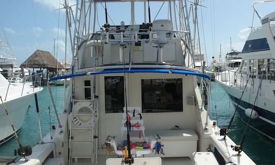 Enjoy Fishing in Cancún, Mexico on 35' Mark Bertram Sport Fisherman