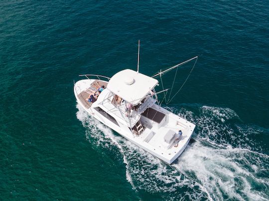 Blackfin 32 ft, your adventure in the Pacific waters!