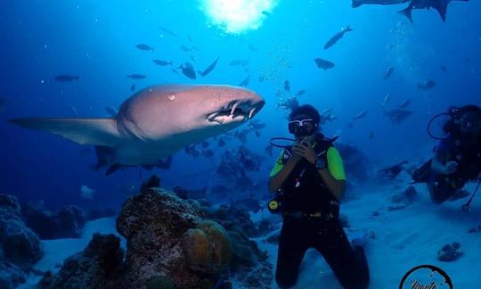 Mergulho em Guraidhoo, nas Maldivas!