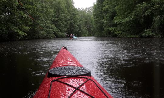 Explorez Jyväskylä, en Finlande, en kayak avec des amis !