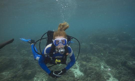 インドネシアのバリ島でのプロのガイド付き素晴らしいスキューバダイビングツアー