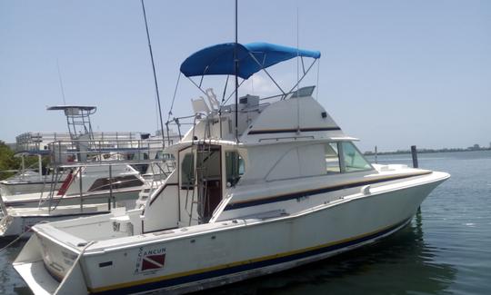 Location de pêche privée pour 6 personnes avec un capitaine expérimenté à Cancún, au Mexique