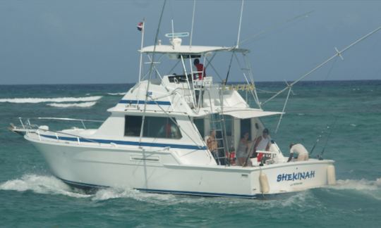 our shekinah cruising over water