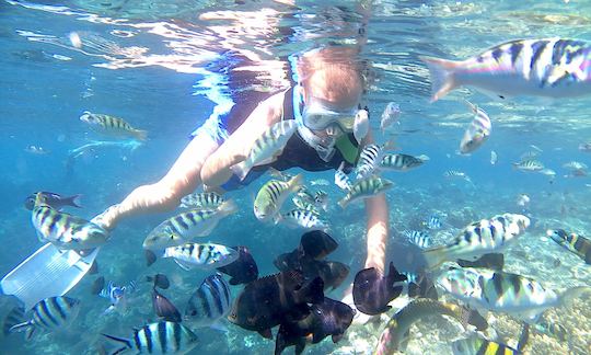 Book the Snorkeling Trip in Karangasem District, Bali