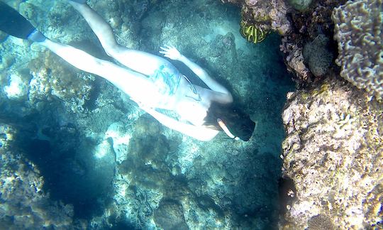 Book the Snorkeling Trip in Karangasem District, Bali