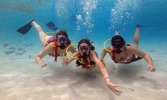 SNUBA Shore Dive with Professional Guide in St. Thomas, USVI