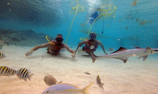 SNUBA Shore Dive with Professional Guide in St. Thomas, USVI