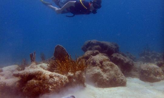 Buceo guiado en tierra con SNUBA en St. John, Islas Vírgenes de los Estados Unidos