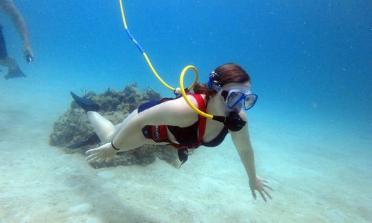 Buceo guiado en tierra con SNUBA en St. John, Islas Vírgenes de los Estados Unidos