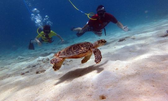 Buceo guiado en tierra con SNUBA en St. John, Islas Vírgenes de los Estados Unidos