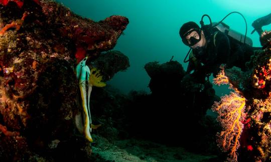 ¡Cursos de buceo de alta gama con instructores certificados en la isla de Boracay, Filipinas!