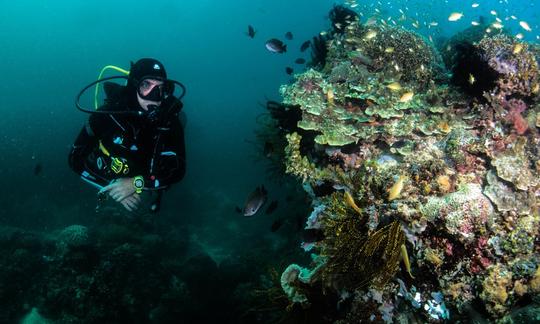 ¡Cursos de buceo de alta gama con instructores certificados en la isla de Boracay, Filipinas!