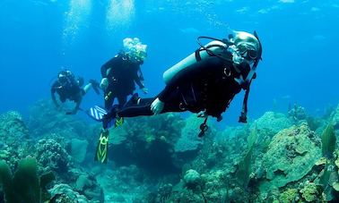 Amazing Fun Dive Experience in Bali, Indonesia!