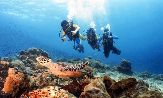 Scuba Diving Trips on Famous Bali, Indonesia Dive Sites!