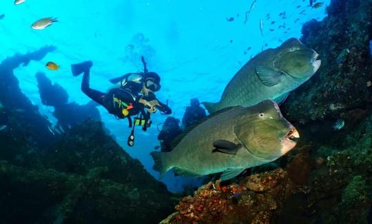 Scuba Diving Trips on Famous Bali, Indonesia Dive Sites!