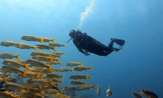 Descubre el buceo