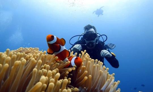 Descubre el buceo