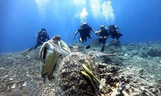 Descubre el buceo