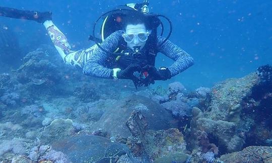 Programa de descubrimiento de buceo en Anilao, Batangas