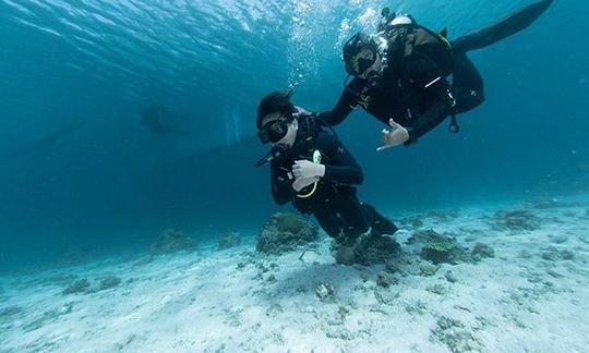 Programa de descubrimiento de buceo en Anilao, Batangas