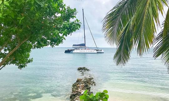 An Unforgettable Sunset Sailing Evening Aboard Bona Vida