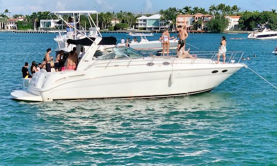 41' Sea Ray Motor Yacht Charter in Miami, Florida 