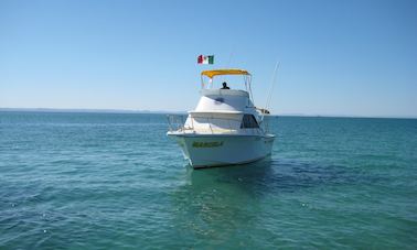 Alquiler de cruceros de cabina de 28 pies en La Paz, México