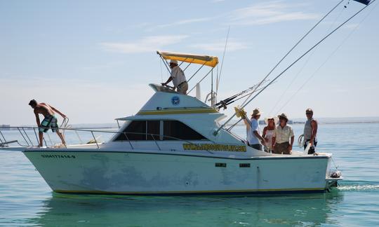 Frete de cruzeiro com cabine de 28 pés em La Paz, México