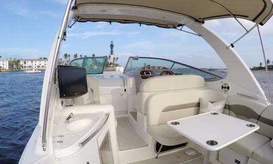 Venha de barco conosco em Deerfield Beach com a lancha Chaparral 310 por apenas $295 por hora!