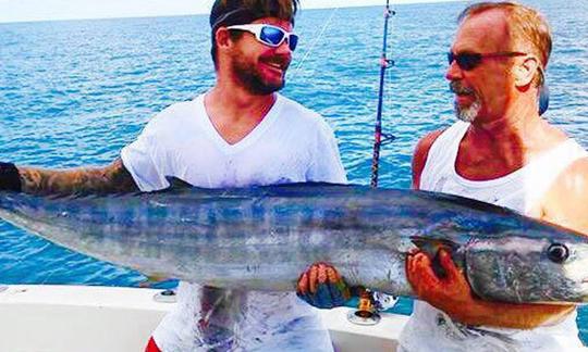 Full Day Reef + Wreck Charters - fretamento privado para até 6 pessoas em Islamorada, Flórida!