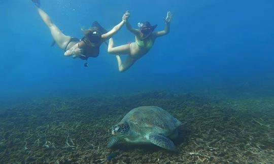 Prueba el buceo en Koh Tao, Tailandia