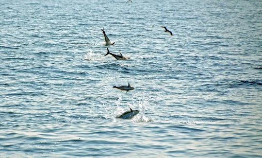 Primeira carta de pesca autêntica no Paquistão