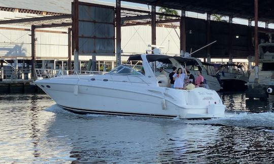 41' Sea Ray Motor Yacht Charter in Miami, Florida 